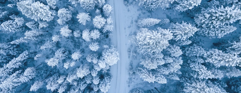 Webinar-drieluik over Euthanasie in februari