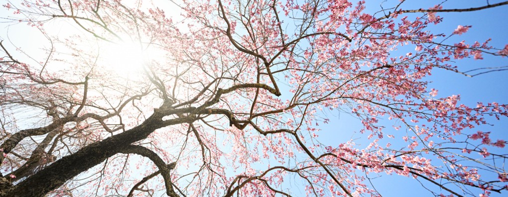 Leven tot het leven helemaal geleefd is..