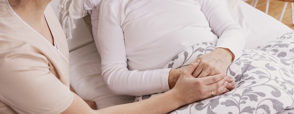 Een recordaantal vrijwilligers