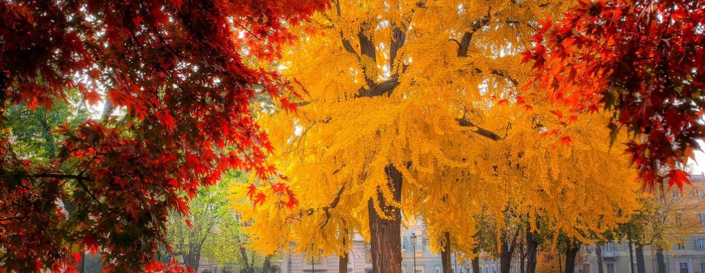 Palliatieve zorg bij nierfalen: interview met een verpleegkundige