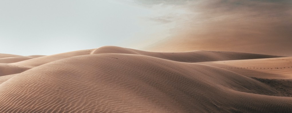Webinar over 'Leven toevoegen aan de dagen' met patiënten Jannie Oskam en Claudia van Deudekom