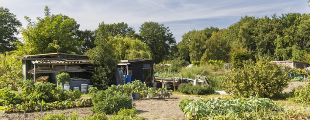 Dood in het tuinhuis