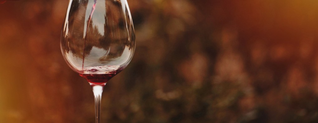 De eerste euthanasie van longarts Sander de Hosson