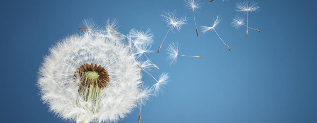 Opinie: "Palliatieve sedatie is lang niet altijd de beste keuze"