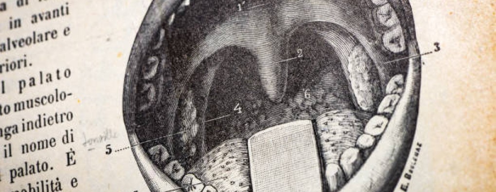 Herziene richtlijn Mondproblemen en Slikstoornissen in de palliatieve fase gepubliceerd