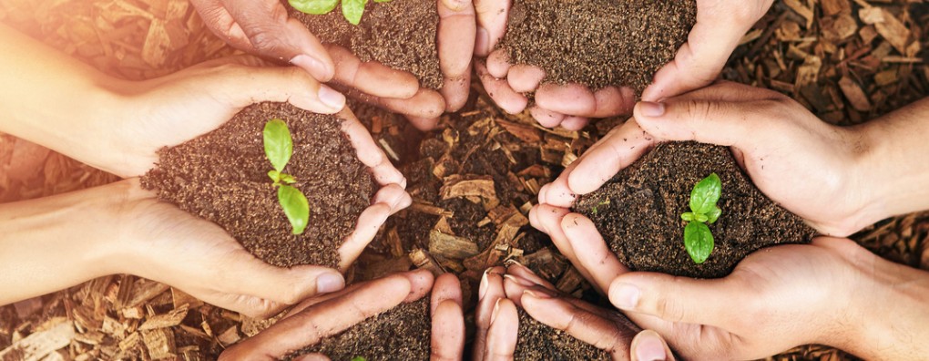 Als je hebt gehoord dat je niet meer beter wordt