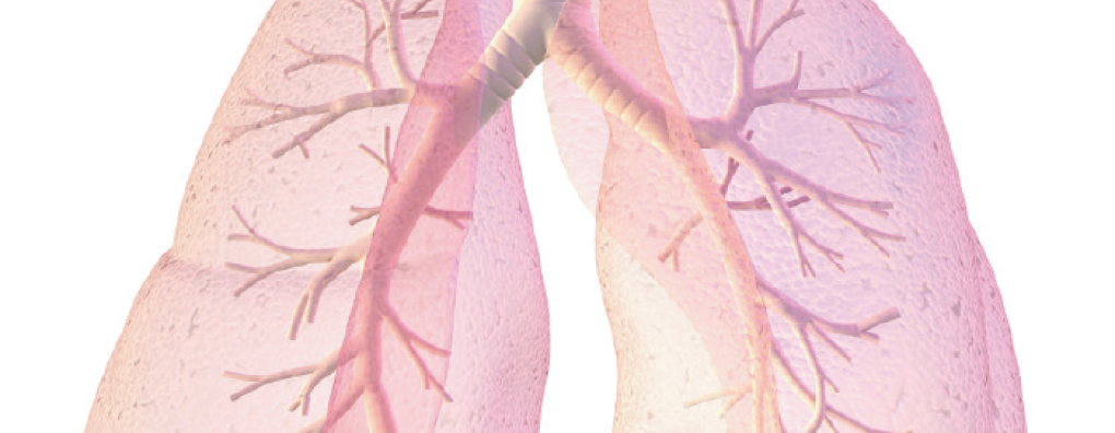 Nieuwe richtlijn Palliatieve zorg bij mensen met COPD