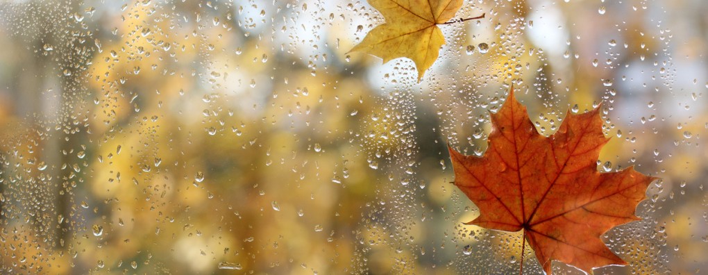 (Na)bijna dood ervaringen