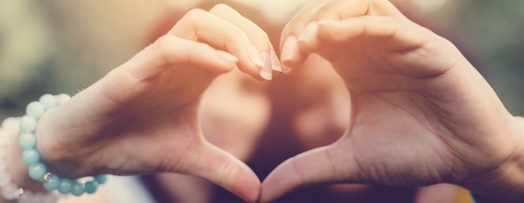 Afscheid van paard in het ziekenhuis