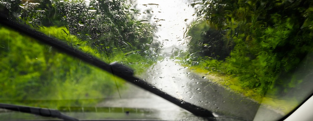 De uitslag van de scan