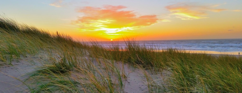 Vaststellen van de dood en de lijkschouw