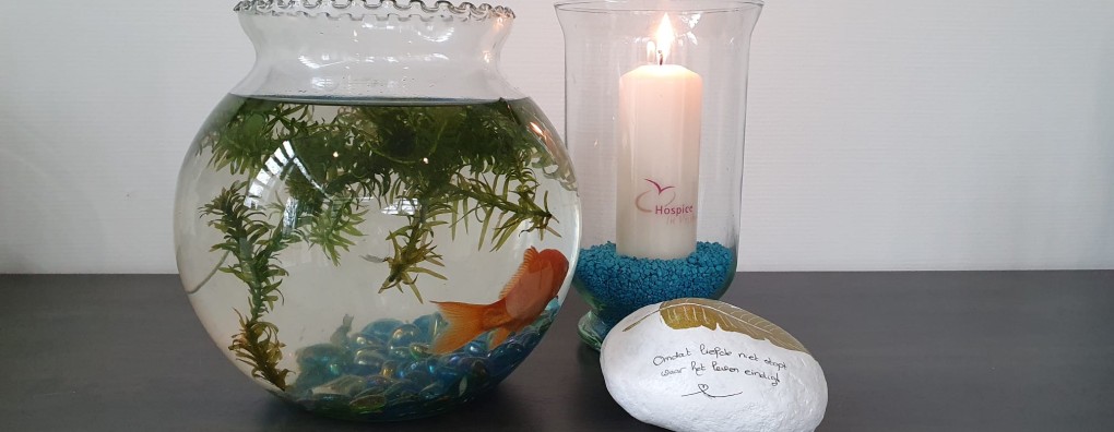 Lees de kamer [Hospice In Vrijheid]