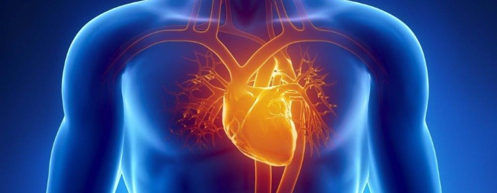 Webinar Palliatieve Zorg bij hartfalen - Interview met cardioloog Bas Bekkers