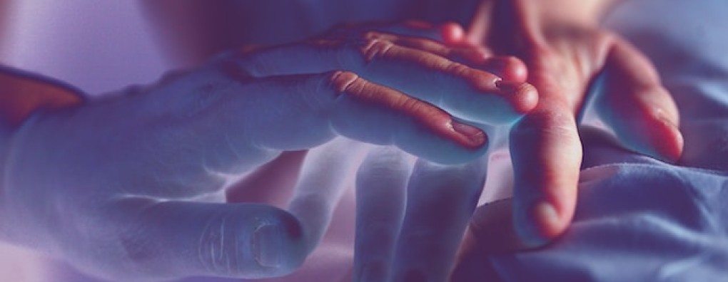 Richtlijn Zorg in de Stervensfase tijdens Carend Congres op 1 november gepresenteerd