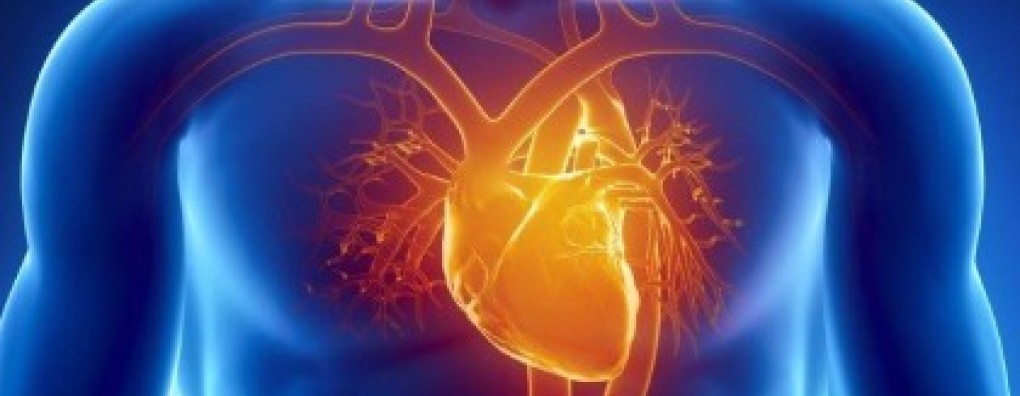 Palliatieve Zorg bij Hartfalen. Lezing: Zorg in de latere en laatste levensfase bij hartfalen