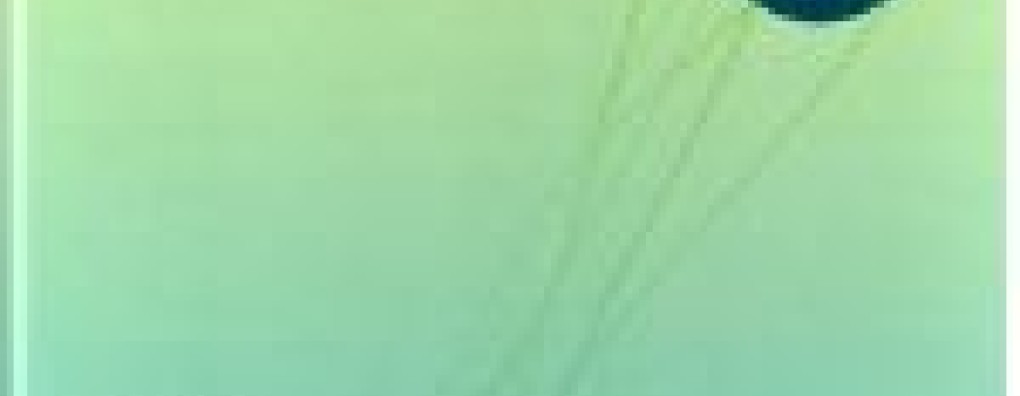 Nieuwe richtlijn ALS en palliatieve zorg; binnenkort webinar