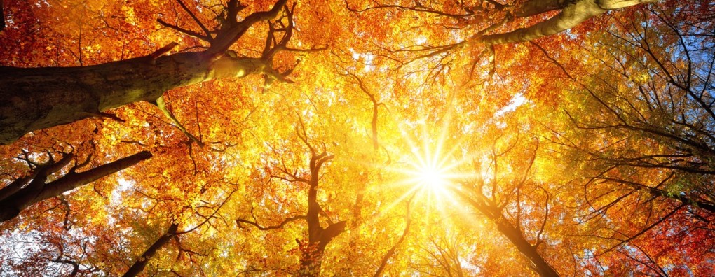 Engelen in de Herfst