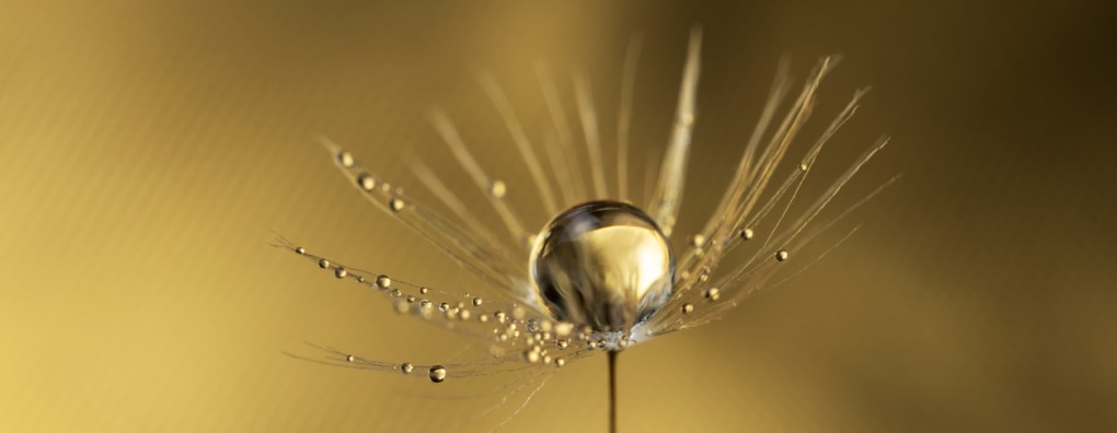 De kracht van wat mag ontstaan