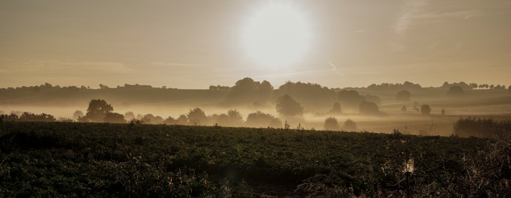 Post-HBO Opleiding Palliatieve Zorg VIAA-Carend van start