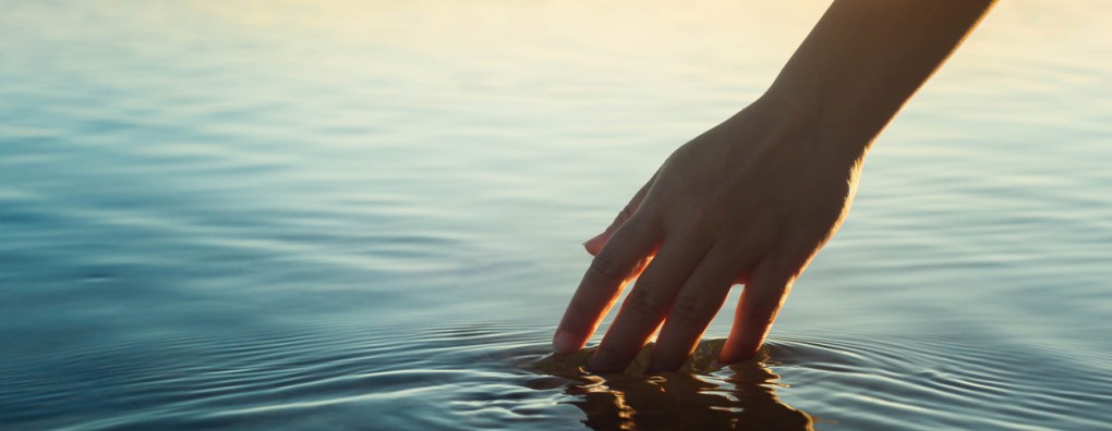 Uit het leven geplukt