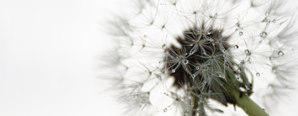 Richtlijncommissie: "Palliatieve sedatie is een complexe medische indicatie en handeling en daarom ligt verantwoordelijkheid bij artsen".