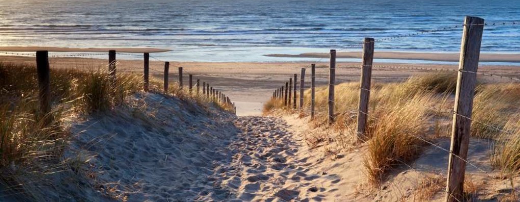 Verliefd op het leven