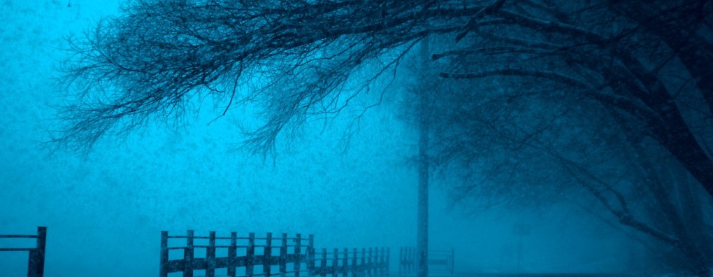 Herziene richtlijnen Angst en Depressie in de palliatieve fase gepubliceerd