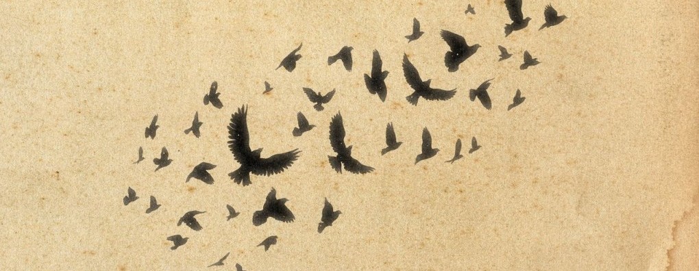 Manu Keirse spreekt tijdens webinar over Levend Verlies