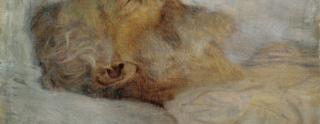 Veel animo voor webinar over herziene richtlijn palliatieve sedatie