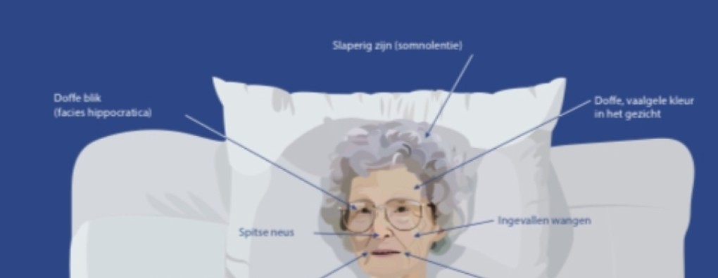 Poster 'Signalen van Sterven' met gratis downloadlink