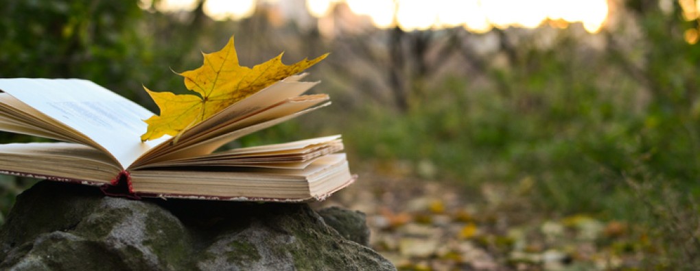 In vrede afscheid nemen