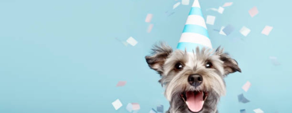 Carend bestaat vandaag drie jaar