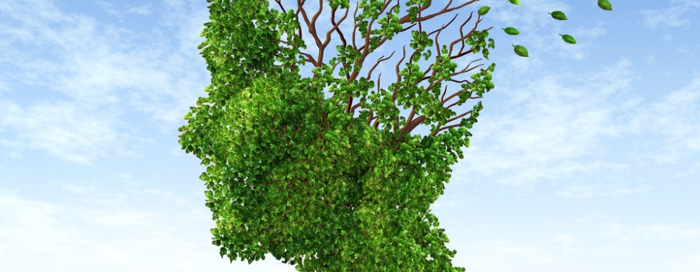 Palliatieve zorg bij mensen met dementie