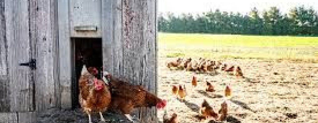 'Ik vond het zo weinig'