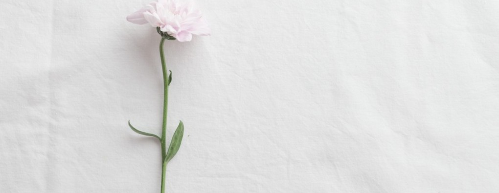 De laatste zorg geven is elke keer weer bijzonder