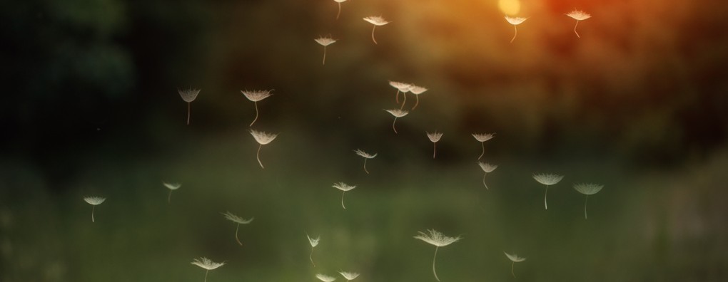 Une mort très douce