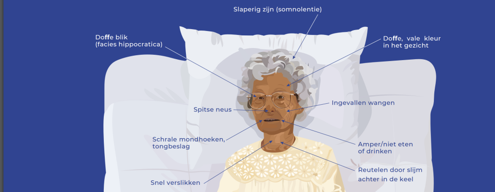 Nieuw zakboekje ‘Zorg in de Stervensfase’ helpt zorgverleners bij laatste levensfase