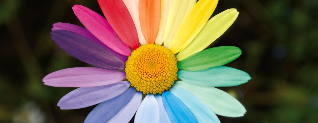 Interview met Karin Pool: palliatieve zorg in alle kleuren van de regenboog