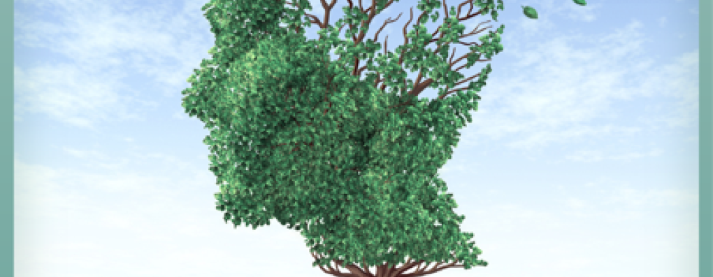 Congres Palliatieve Zorg bij Dementie: Maartje Klapwijk