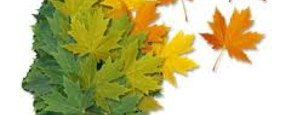 Herziene richtlijn delier in de palliatieve fase verschenen