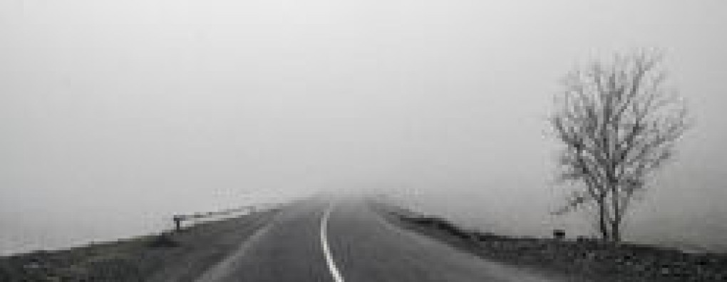 Webinar Palliatieve Zorg bij Leverfalen uitgesteld