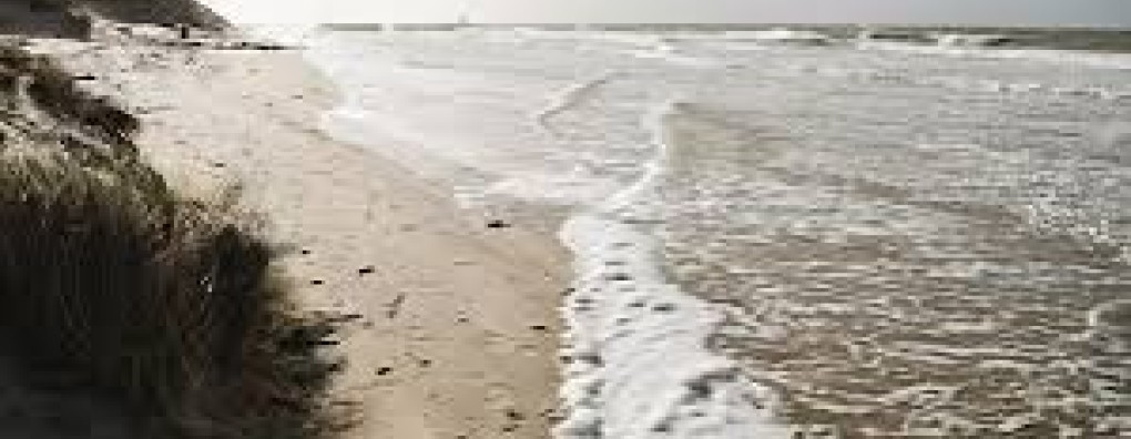 Opinie: Palliatieve zorg en ondersteuning; een verbindend perspectief!