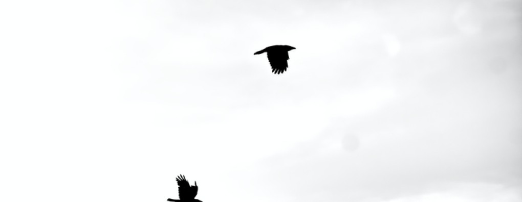 Onafscheidelijk tot het einde