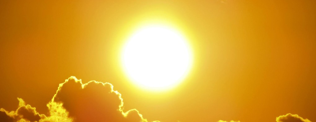 Zorg in de stervensfase - gids voor zorgverleners