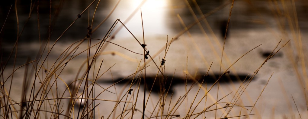 Experts uiten zorgen over toename van euthanasie bij psychiatrische patiënten in Nederland