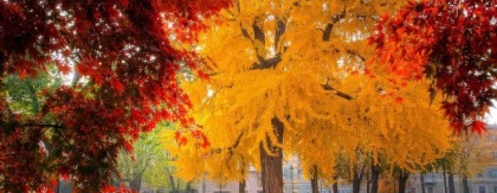 Opinie: ‘Palliatieve sedatie is geen slapen’