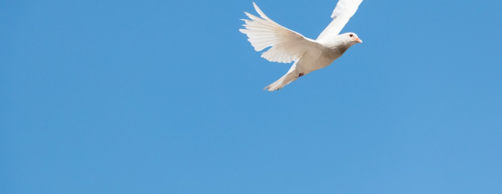 Save the date: ‘Hét ACP-congres’ op 13 juni in de Jaarbeurs