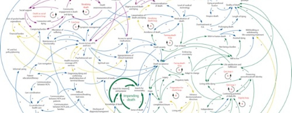 Samenvatting: the value of death