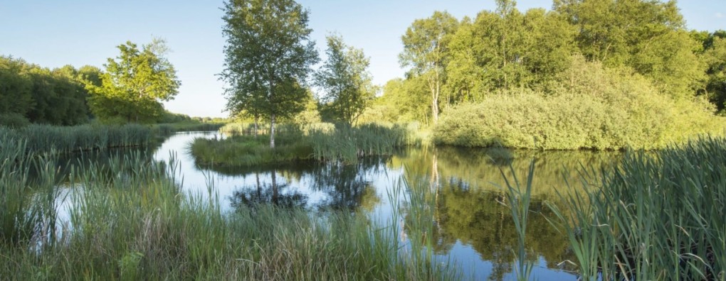 Sterven hoort bij het leven – drie bijzondere lezingen op Natuurbegraafplaats Hillig Meer op 4 oktober