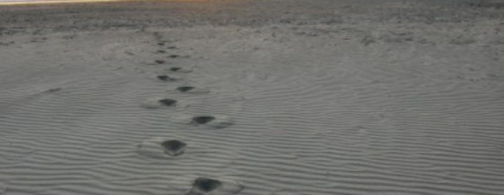 Webinar 'Doorlevers' op 25 september
